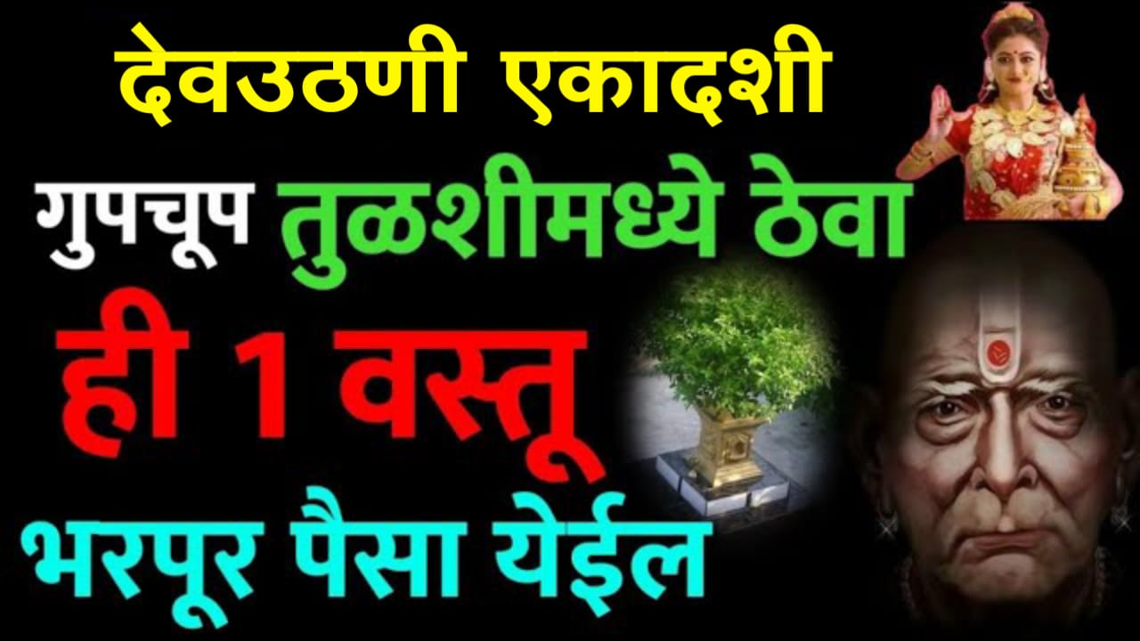 4 नोव्हेंबर देवउठनी एकादशी गुपचूप तुळशीमध्ये ठेवा ही 1 वस्तू, भरपूर पैसा येईल, होणार मनोकामना पूर्ण..