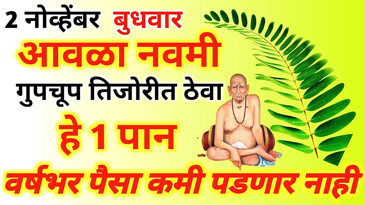 2 नोव्हेंबर आवळा नवमी 2 पाने इथे ठेवा झोपलेल नशीब धावत सुटेल…