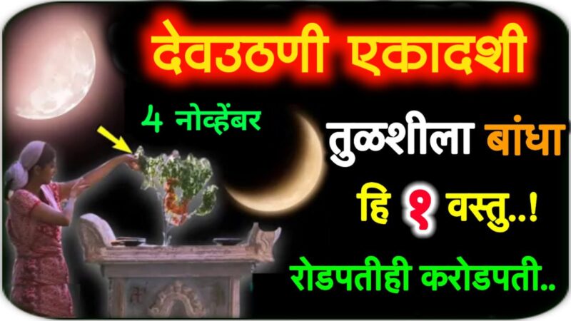 Tied to Tulsi is 1 thing on Ekadashi