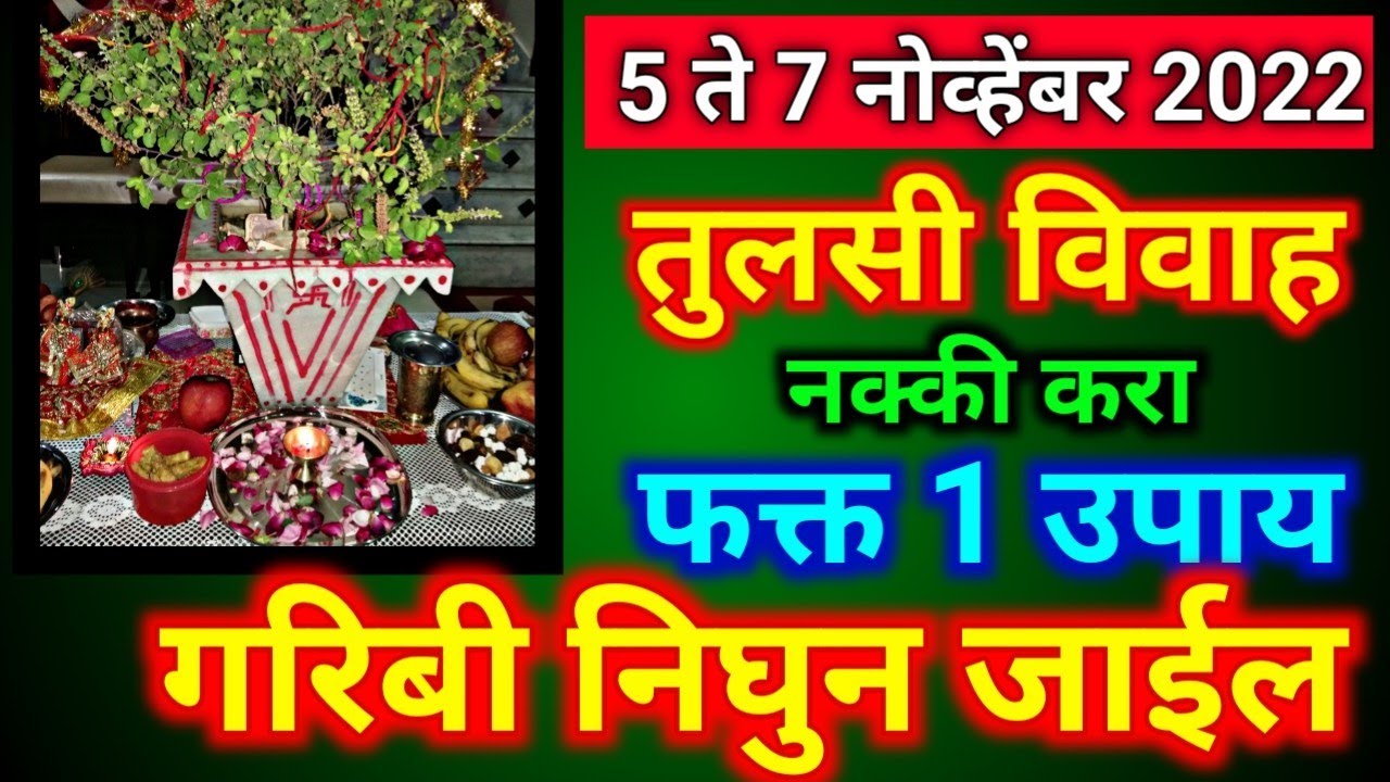5 ते 7 नोव्हेंबर 2022, तुलसी विवाह नक्की करा फक्त 1 उपाय, गरिबी निघुन जाईल…