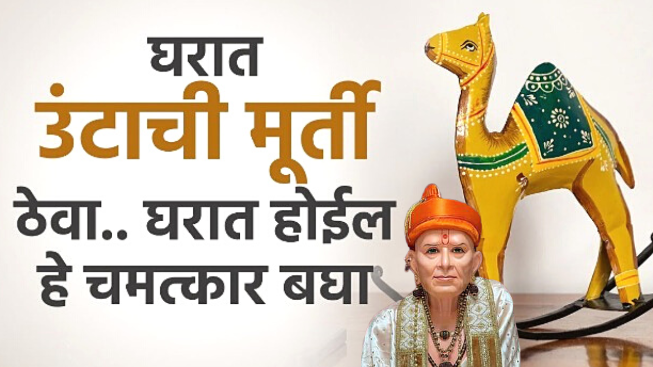 जाणून घ्या !! घरामध्ये उंटाची मूती ठेवल्याचे फायदे, मिळेल ढीग पैसा..