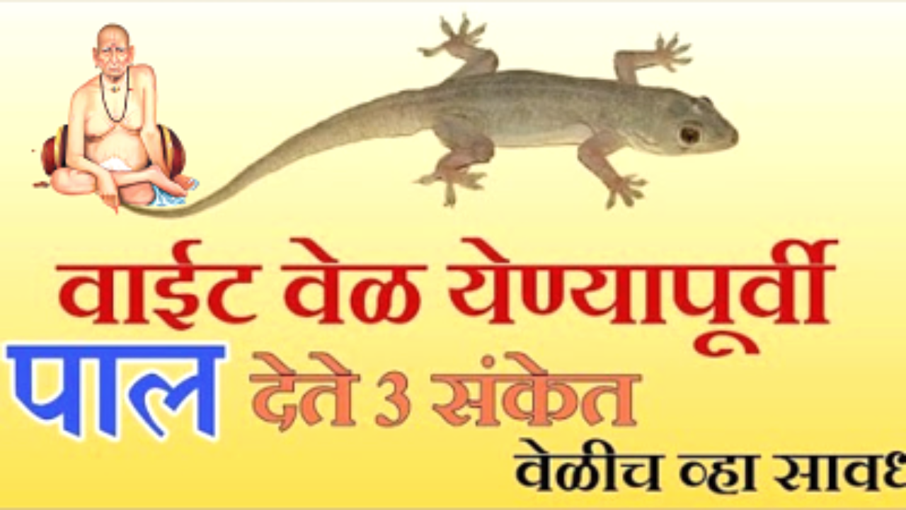 घरांवर वाईट संकटे येण्यापूर्वी पाल देते हे 3 अशुभ संकेत, सावध व्हा, नाहींतर होणार बरबाद…