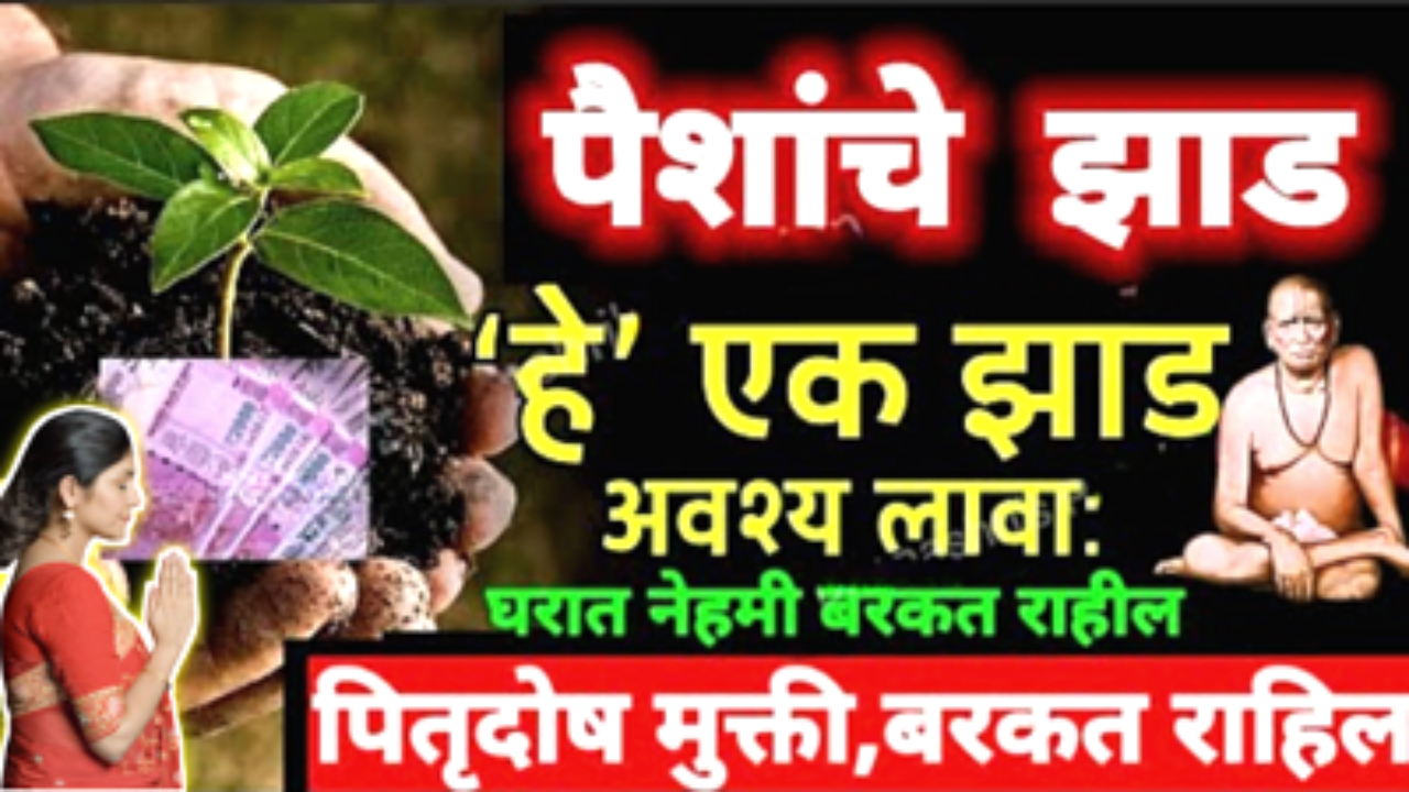 ज्या घरात हे 1 झाड असते, तिथे पैसा अफाट येतो…