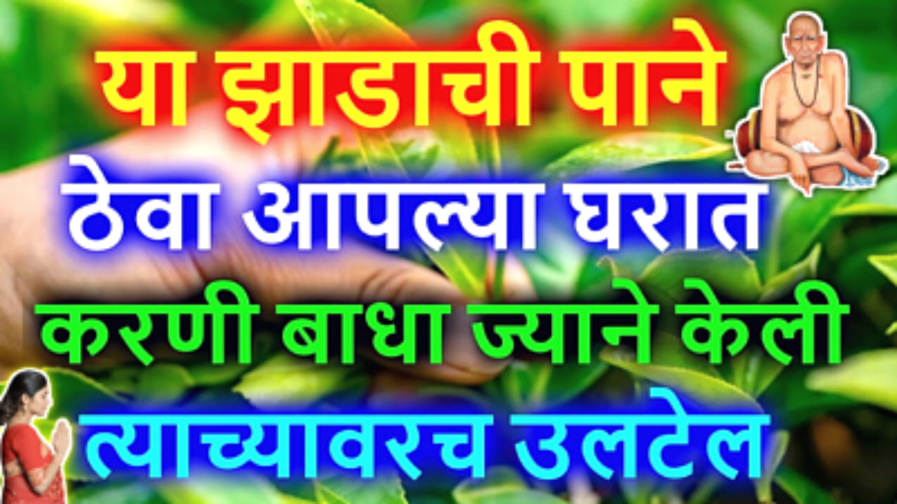घरात इथे ठेवा हे 1 पान, करणी बाधा दूर होईल बोनस म्हणून अचानक धनलाभ होईल…