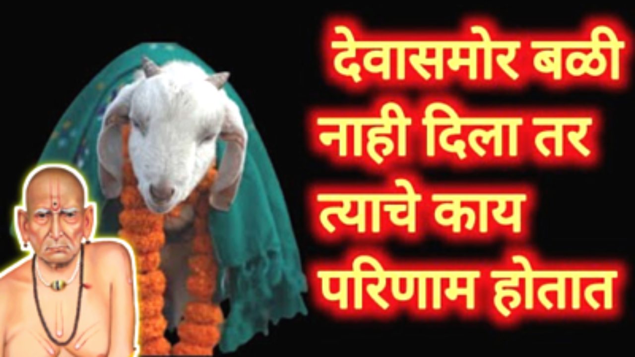 बळी देणं योग्य की अयोग्य?
