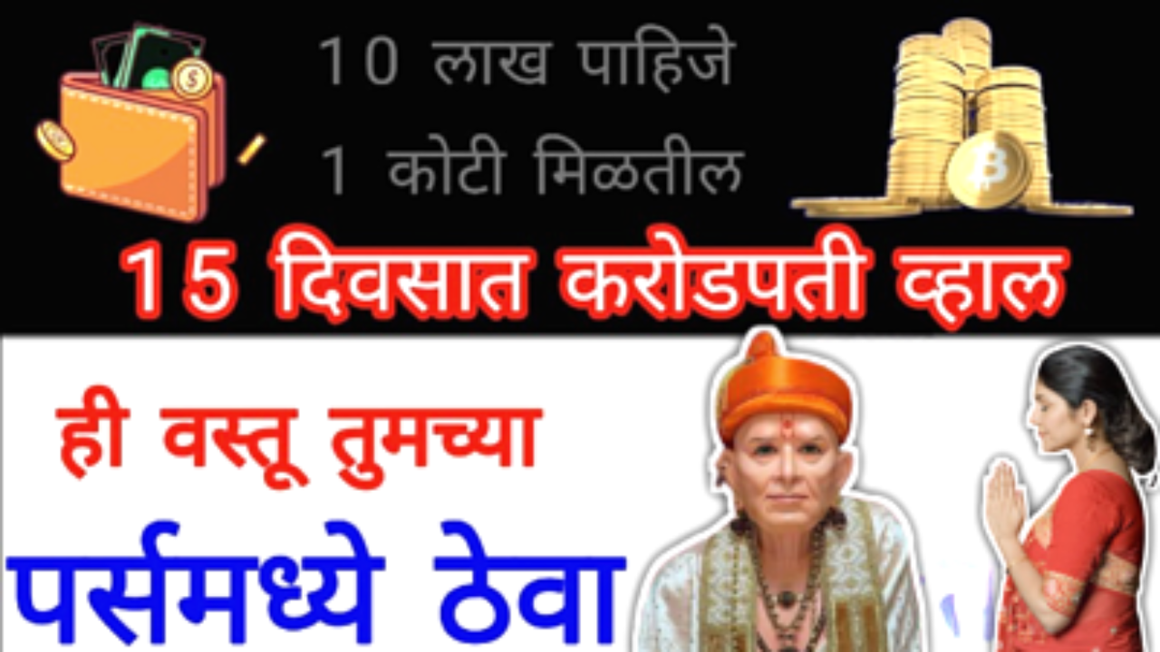 नेहमी पर्समध्ये ठेवा ही वस्तू, पर्स कधीही रिकामी राहणार नाही…