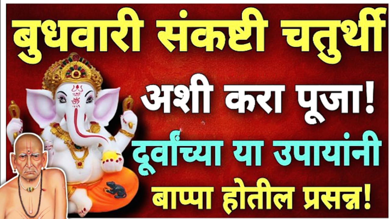 उद्या बुधवारी संकष्टी चतुर्थी, अशी करा दुर्वानी पूजा, बाप्पा प्रसन्न होतील…