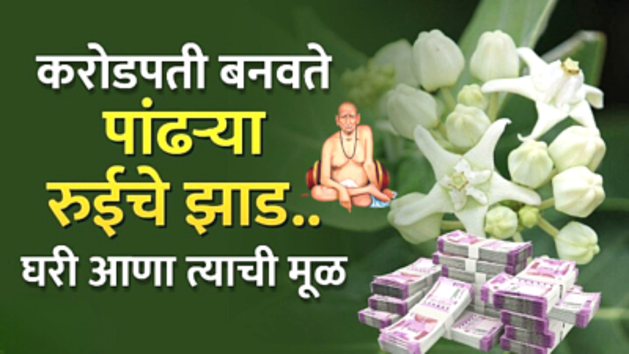 रोडपती देखील बनेल करोडपती असा जालिम उपाय…