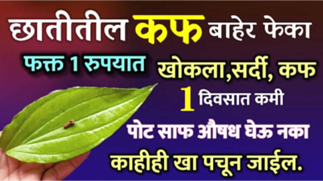 फक्त हे 1 पान खा, सर्व आजार छु मंतर…