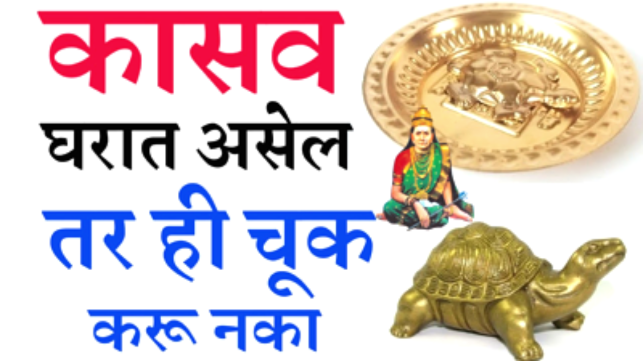 घरात कासव असेल तर ही चूक करू नका पैसा परत निघून जाईल…