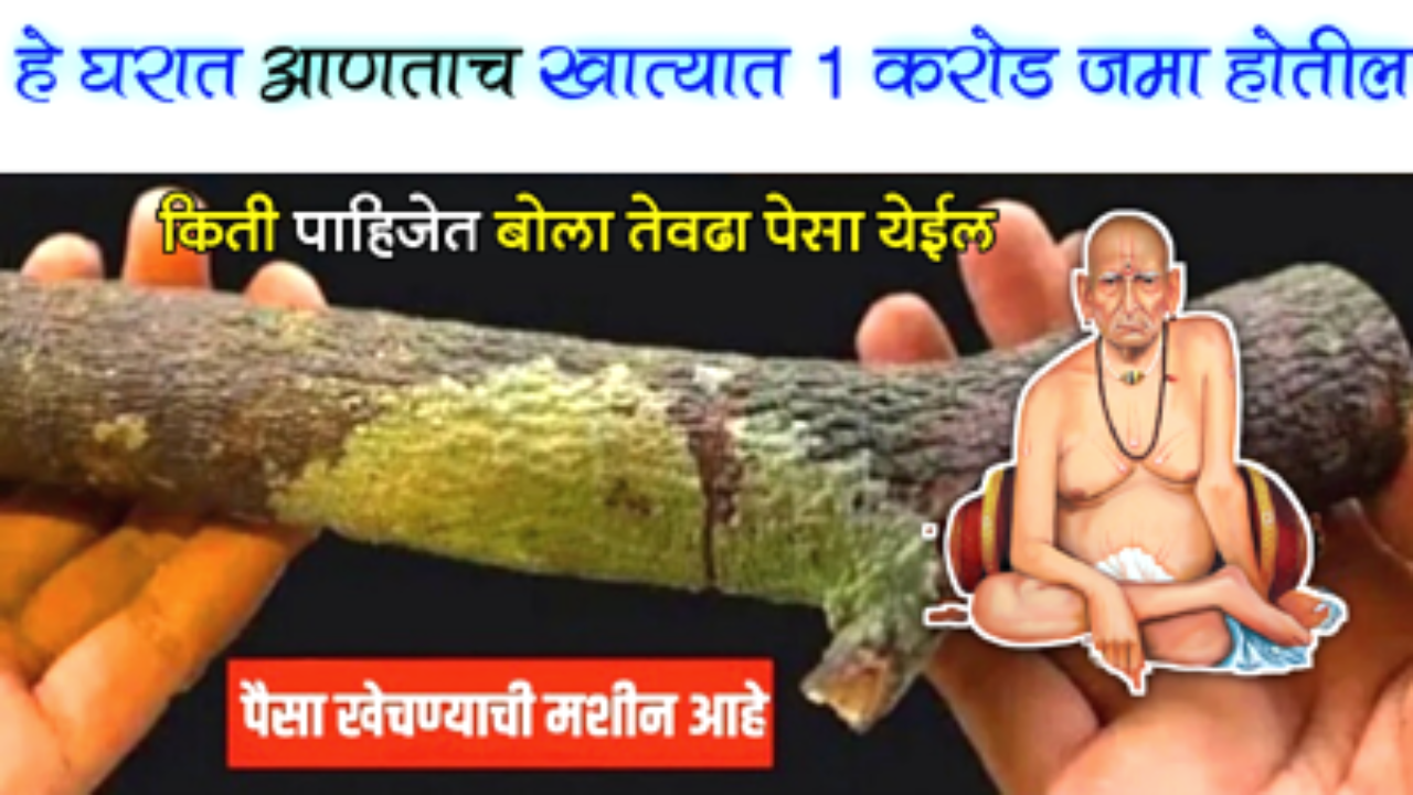तुमची करोडपती बनण्याची स्वप्न पूर्ण करणार हा टोटका, घरातील प्रत्येक जण करोडोत खेळेल…