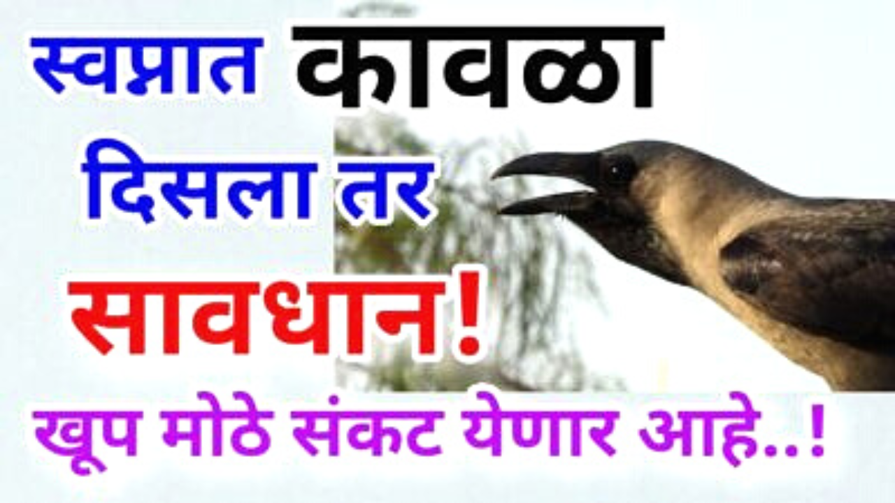 स्वप्नात कावळा दिसला तर सावधान, मोठे संकट येणार आहे…