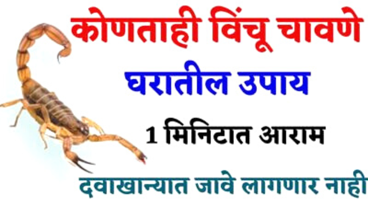 कोणताही विषारी विंचू चावल्यावर करा हा उपाय, 1 मिनिटात विष उतरेल…
