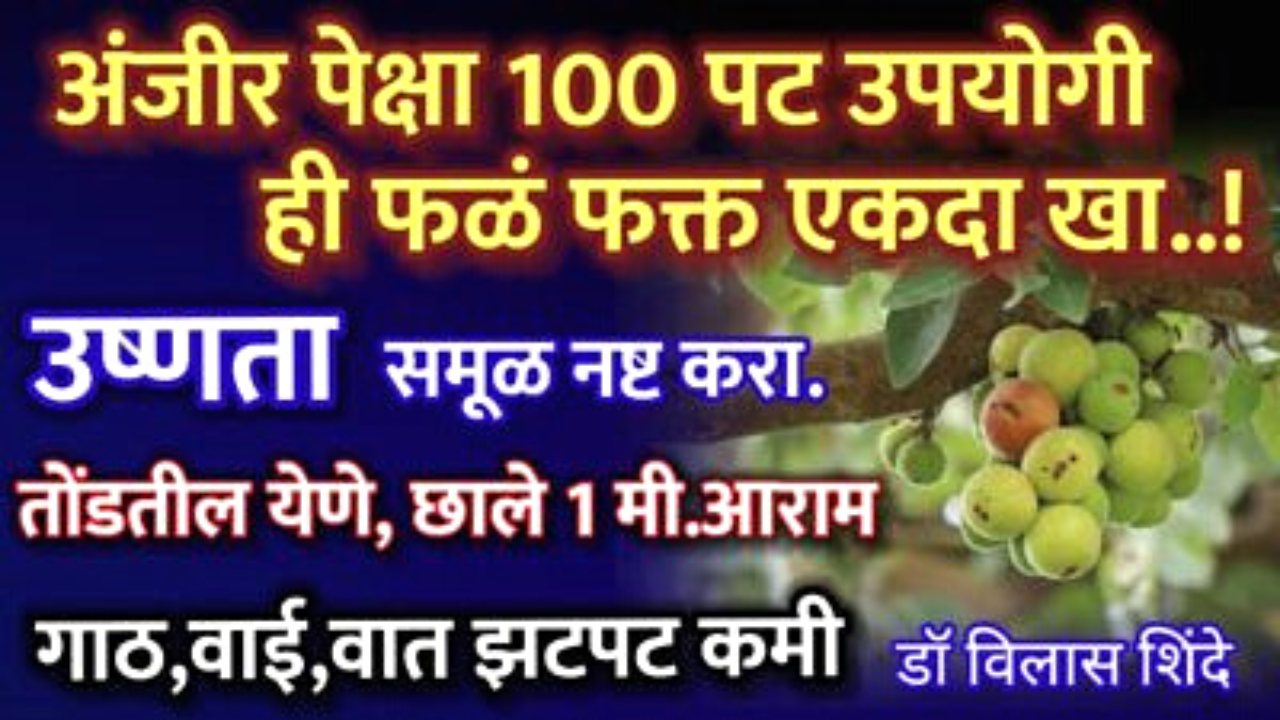 शरीरातील भयंकर उष्णता समूळ नष्ट करेल हे 1 फळ, तुम्हाला कसलाच त्रास उरणार नाही….