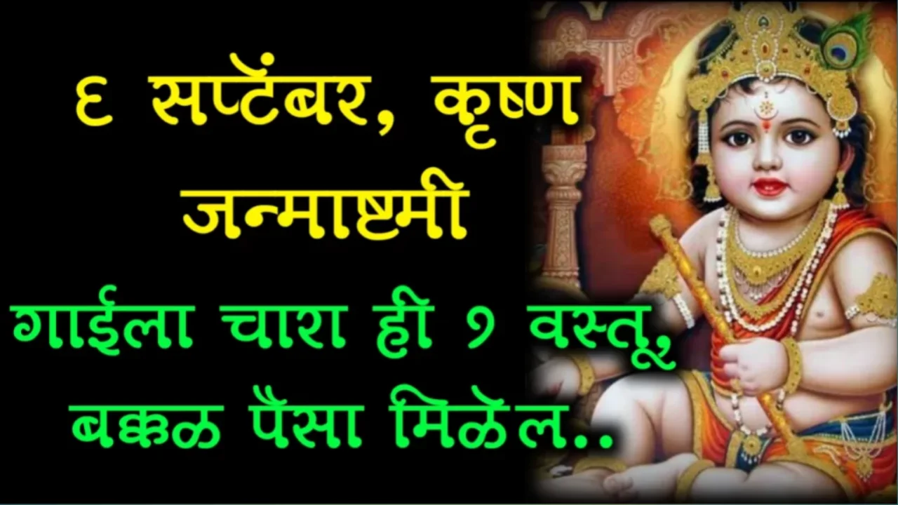 श्री कृष्ण जन्माष्टमी, गायीला खाऊ घाला ही 1 वस्तू, सात पिढ्यांची गरिबी जाईल..