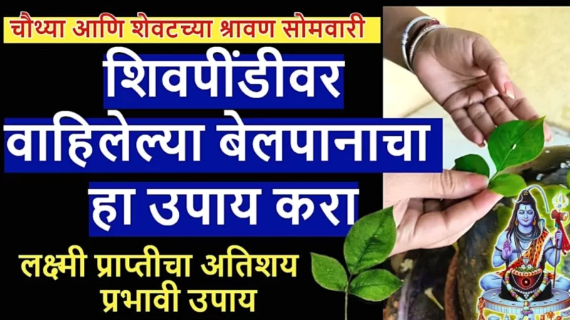 Take Belpatra home on the last Monday