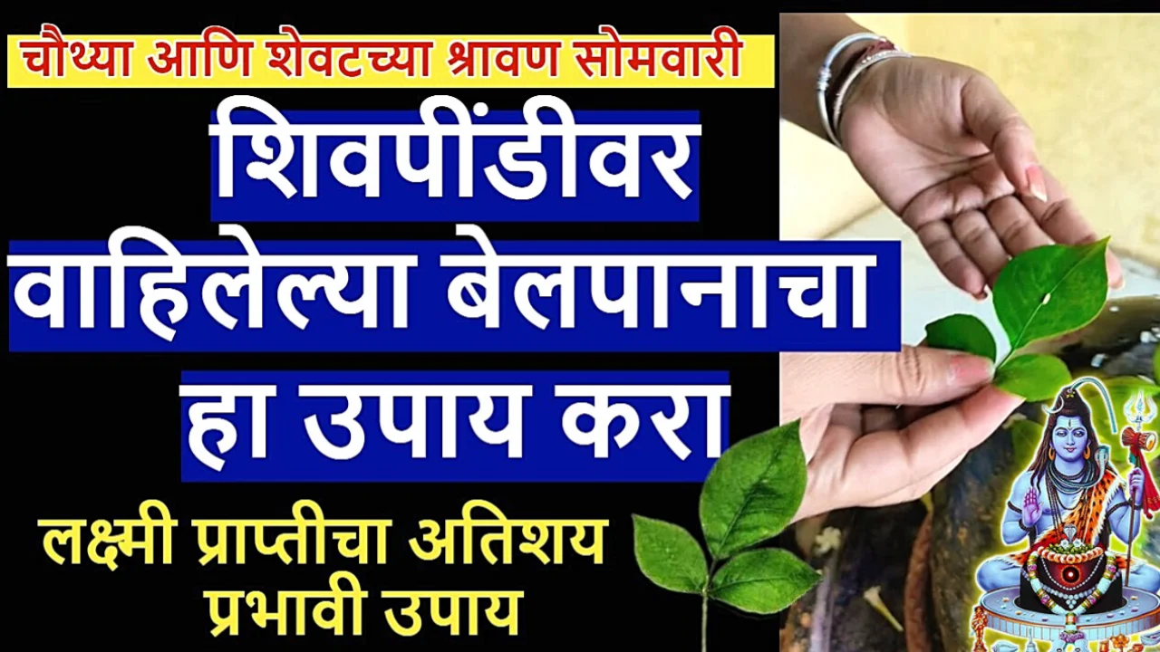 श्रावणी शेवटच्या सोमवारी बेलपत्र घरी घेऊन हा उपाय करा, अचानक मोठा धनलाभ..