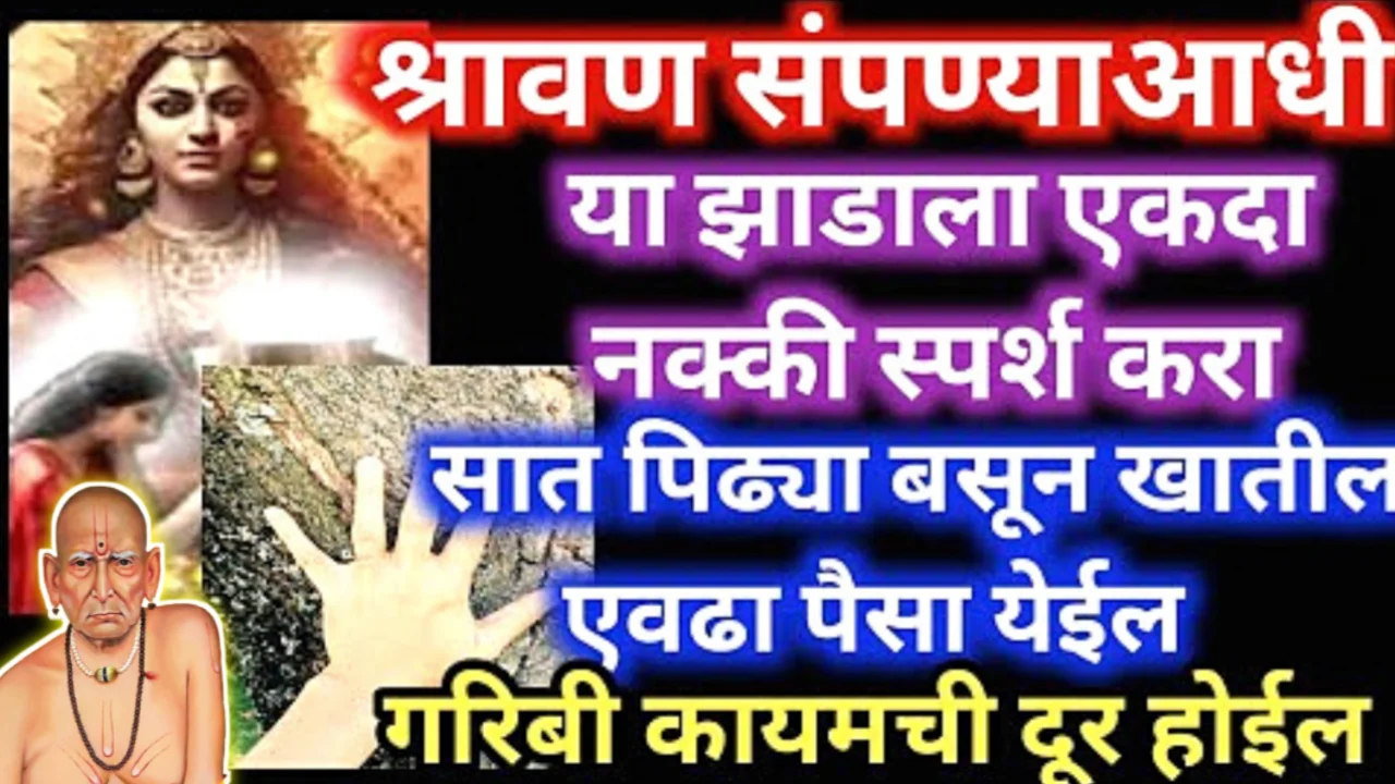 श्रावण संपण्याआधी या झाडाला स्पर्श करा, अपूर्ण इच्छा पूर्ण होईल…