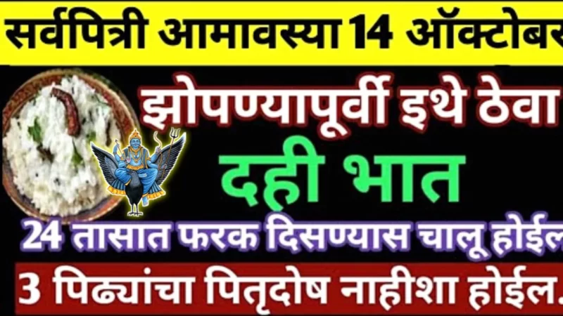 Keep curd rice here tomorrow night