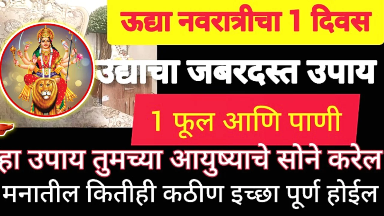 नवरात्रात उद्यापासून देवीला हे एक फुल अर्पण करायला विसरू नका, देवी आई नक्की इच्छा पूर्ण करेल !