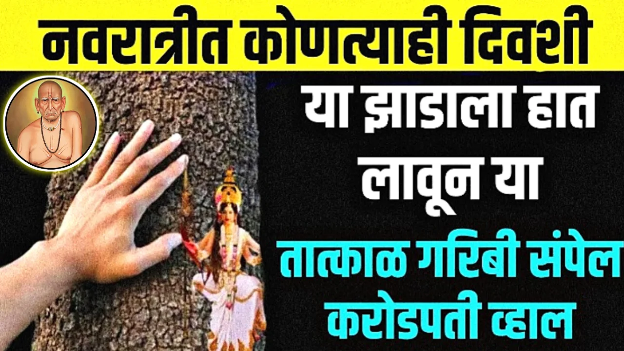 नवरात्रीत कोणत्याही दिवशी या झाडाला स्पर्श करा, करोडचे मालक व्हाल…