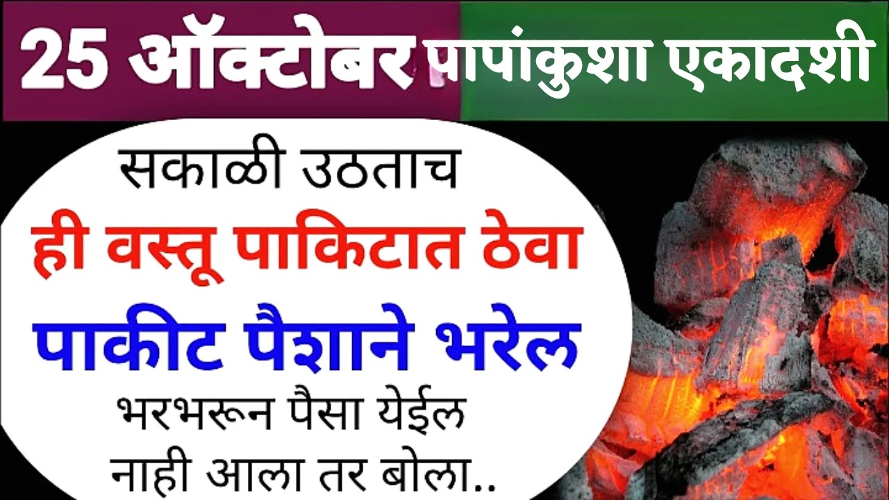 उद्या एकादशीला खिशात ठेवा ही वस्तू, गरिबी जवळ येणार नाही…