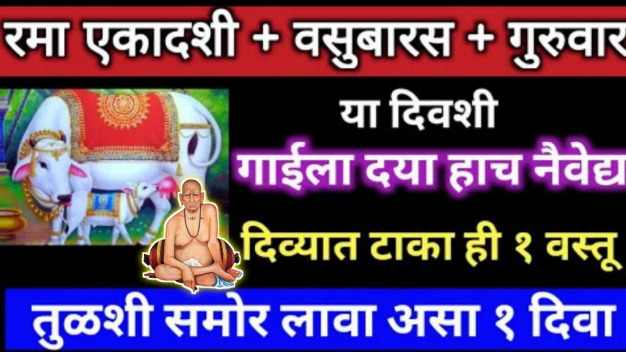 रमा एकादशी, वसुबारस एकाच दिवशी, तुळशी समोर दिव्या टाका ही १ वस्तू, गाईला दया हाच नैवेद्य…
