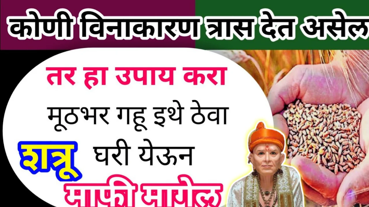 कोणी विनाकारण त्रास देत असेल, तर मूठभर गहू ठेवा इथे, करा हा उपाय, शत्रू घरी येऊन माफी मागेल…