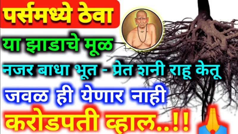 Keep the root of this tree