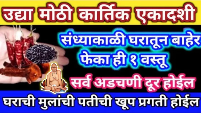 Throw this one thing out of the house on Kartik Ekadashi