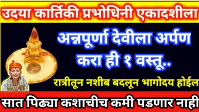 Offer this 1 item to Annapurna Devi on Udaya Kartiki Ekadashi