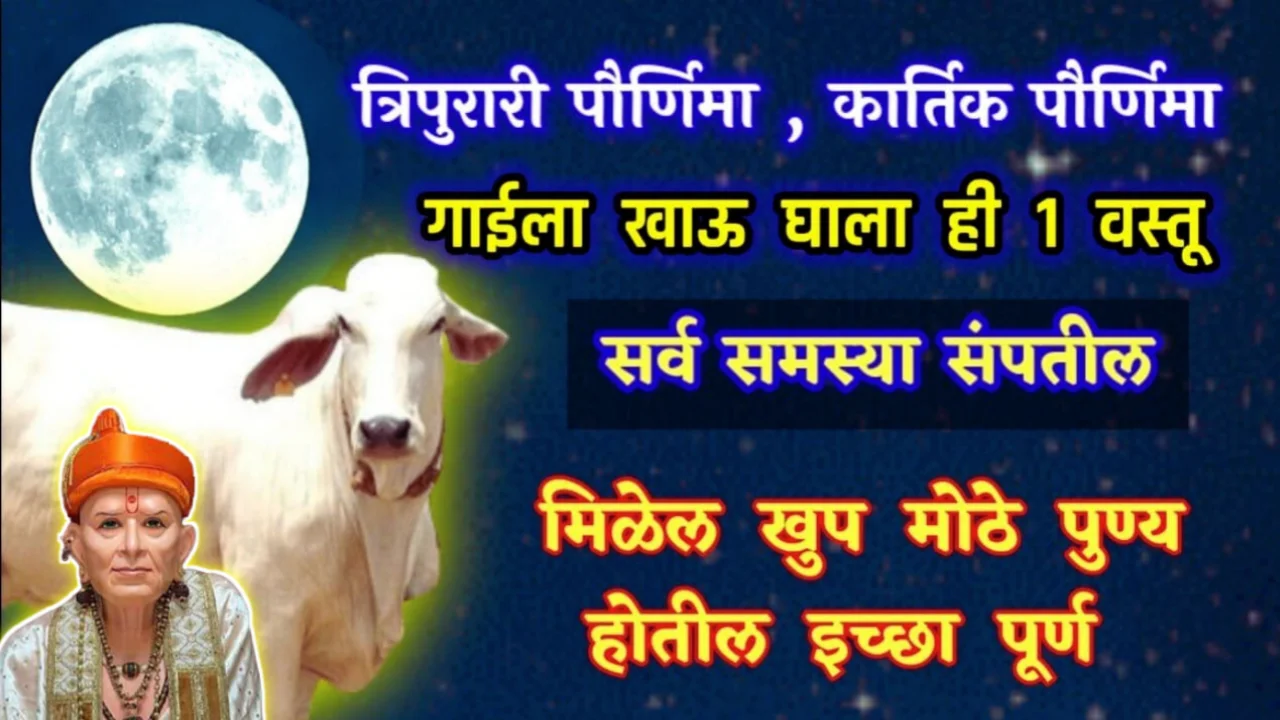 त्रिपुरारी पौर्णिमा, कार्तिक पौर्णिमा, गाईला खाऊ घाला ही १ वस्तू, मिळेल मोठे पुण्य…