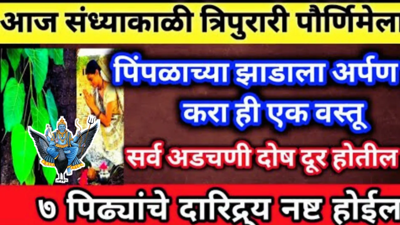 आज कार्तिक पौर्णिमा पिंपळाच्या झाडाला ही १ वस्तू अर्पण करा, सात पिढ्यांची दरिद्रता नष्ट होईल…
