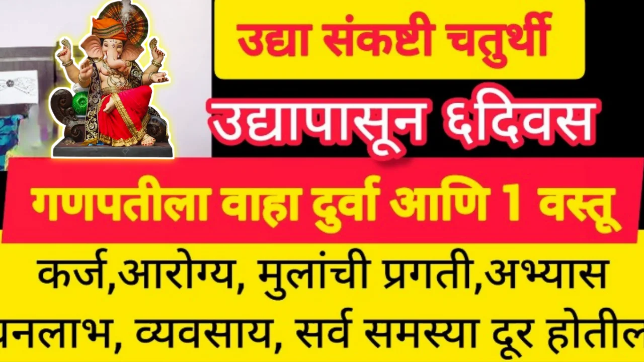ऊद्या संकष्टी चतुर्थी उपाय, उद्यापासून 6 दिवस गणपतीला वाहा दुर्वा आणि 1 वस्तू, कर्ज, मुलांची प्रगती…