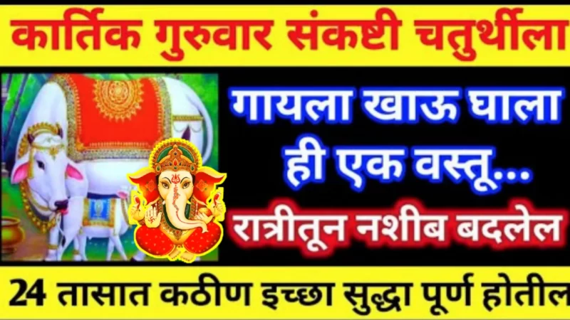 Sankashti Chaturthi Feed this one thing to a cow