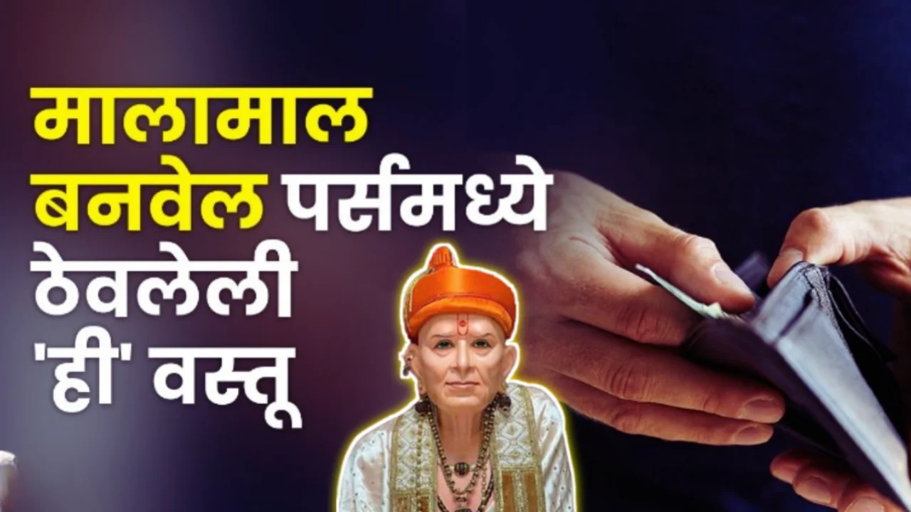 मालामाल बनवेल पर्समध्ये ठेवलेली ‘ही’ वस्तू..