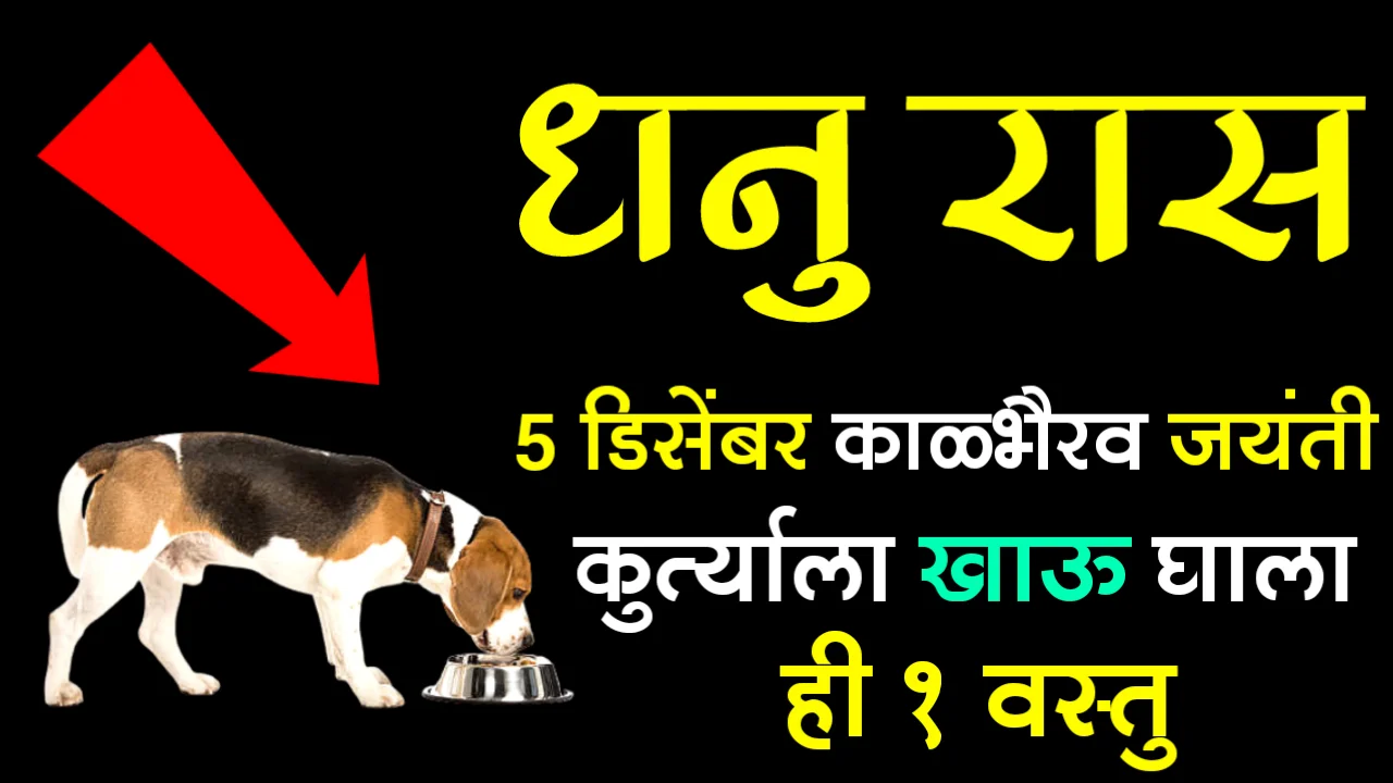 धनु रास : 5 डिसेंबर काळभैरव जयंती, कुत्र्याला खाऊ घाला ही १ वस्तु…