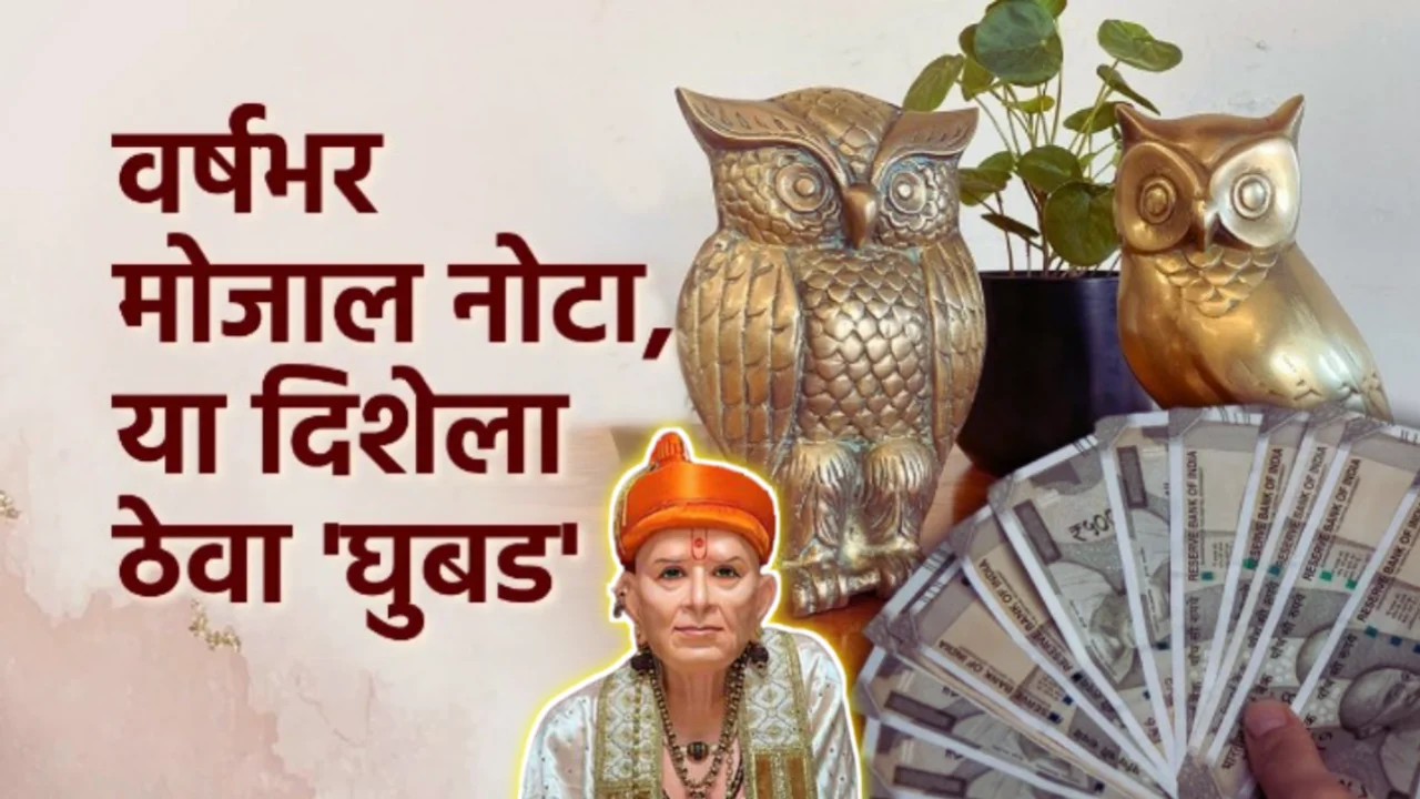 वर्षभर मोजल नोटा या दिशेला ठेवा ‘घुबड’…