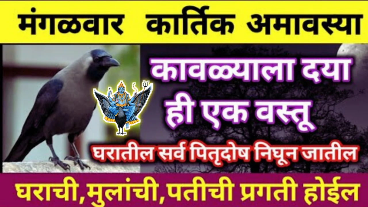 उद्या कार्तिक अमावस्येला, कावळ्याला खायला घाला ही एक वस्तू, पितृ दोष कायमचा निघून जाईल…