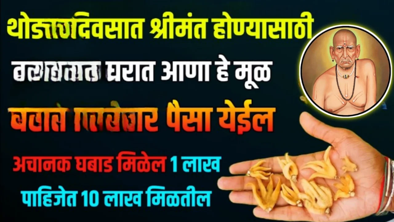 थोड्या दिवसात श्रीमंत होण्यासाठी आजच घरात आणा हे मूळ, घरात चिक्कार पैसा येईल…