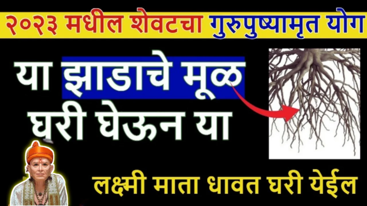 गुरुपुष्यामृत शुभ मुहूर्त, हा १ महाउपाय करा सर्व समस्या दूर होतील, १०० पटीने फळ नक्की मिळेल…